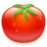 Tomate Virtual